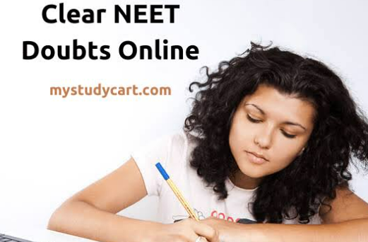 Online Doubt Clearing