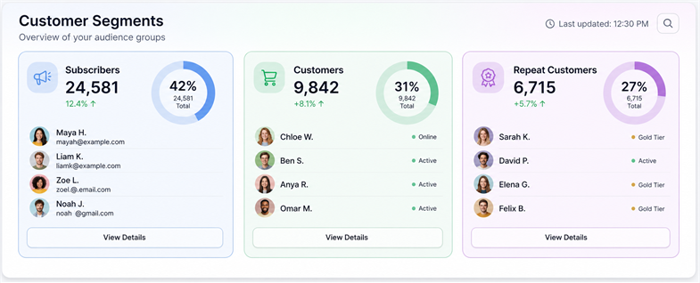 Intelligent audience segmentation