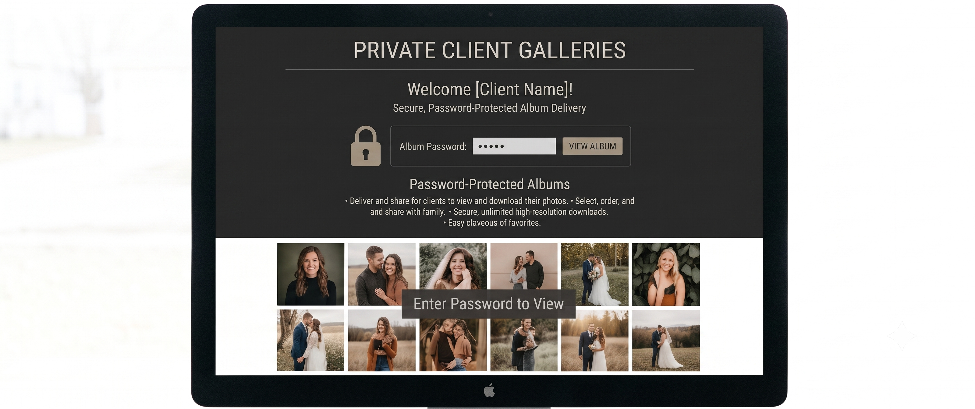 Private client galleries
