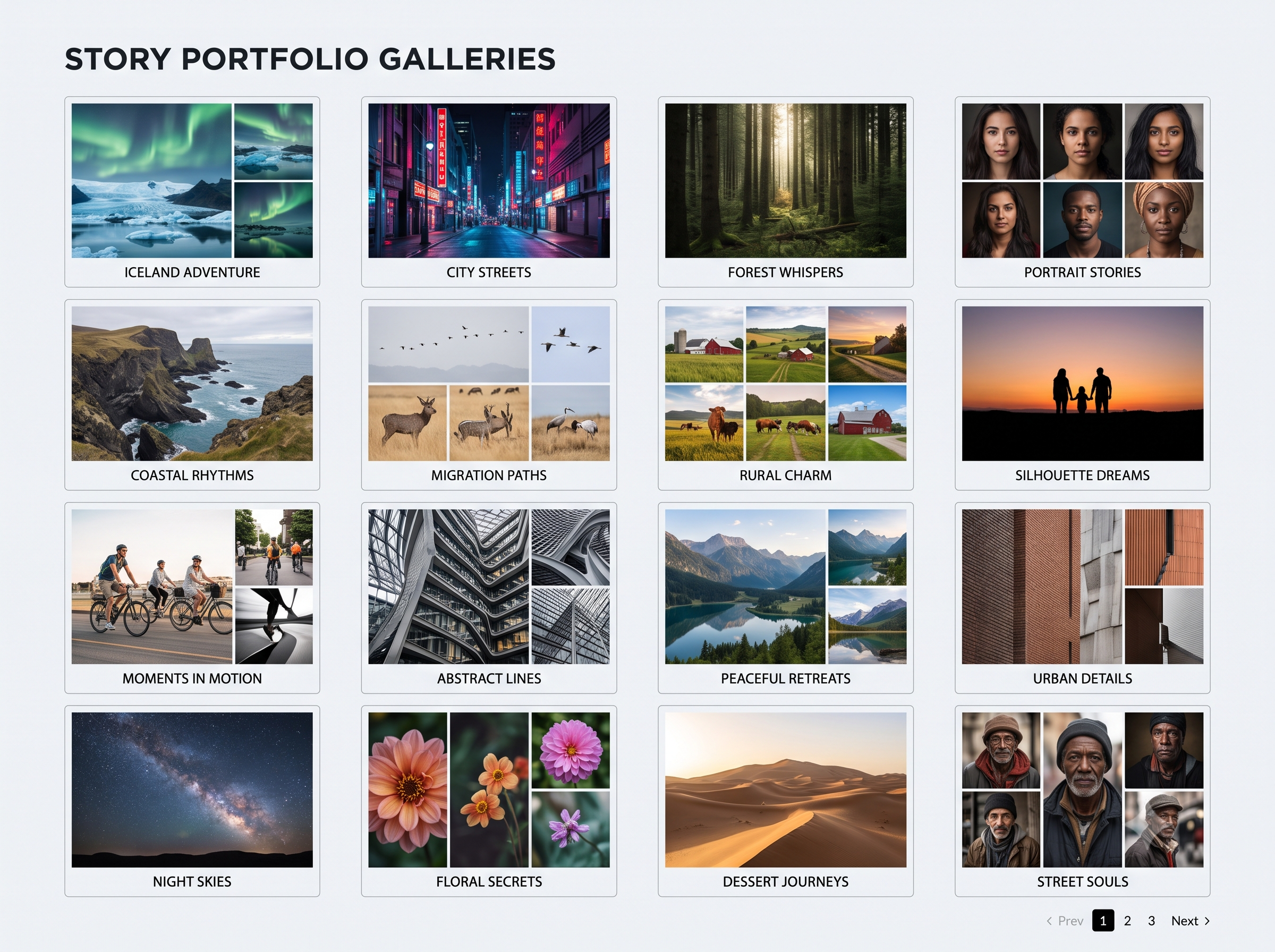 Story Portfolio Galleries