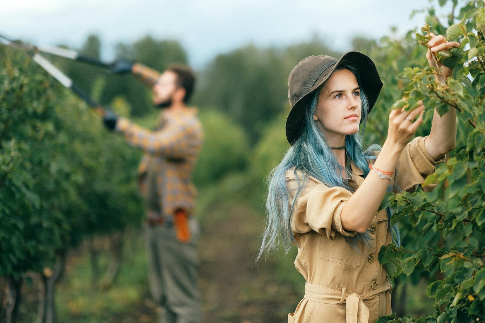 Lucía and her grandmother walking the harvest rows at first light — two women in linen against the Andes.