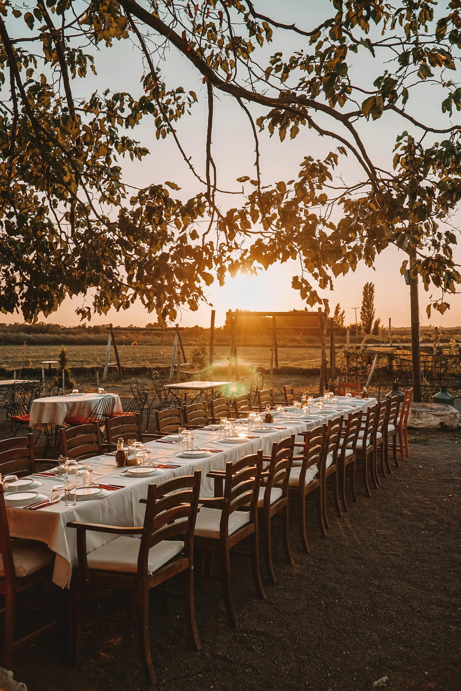 A long estate lunch — a roast lamb, a half-finished bottle, three glasses, candlelight on a linen runner.