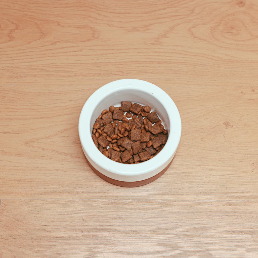 Overhead view of a fresh meal bowl with chicken and sweet potato