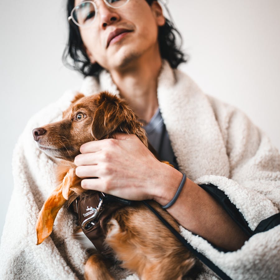 Owner cuddling their dog at home