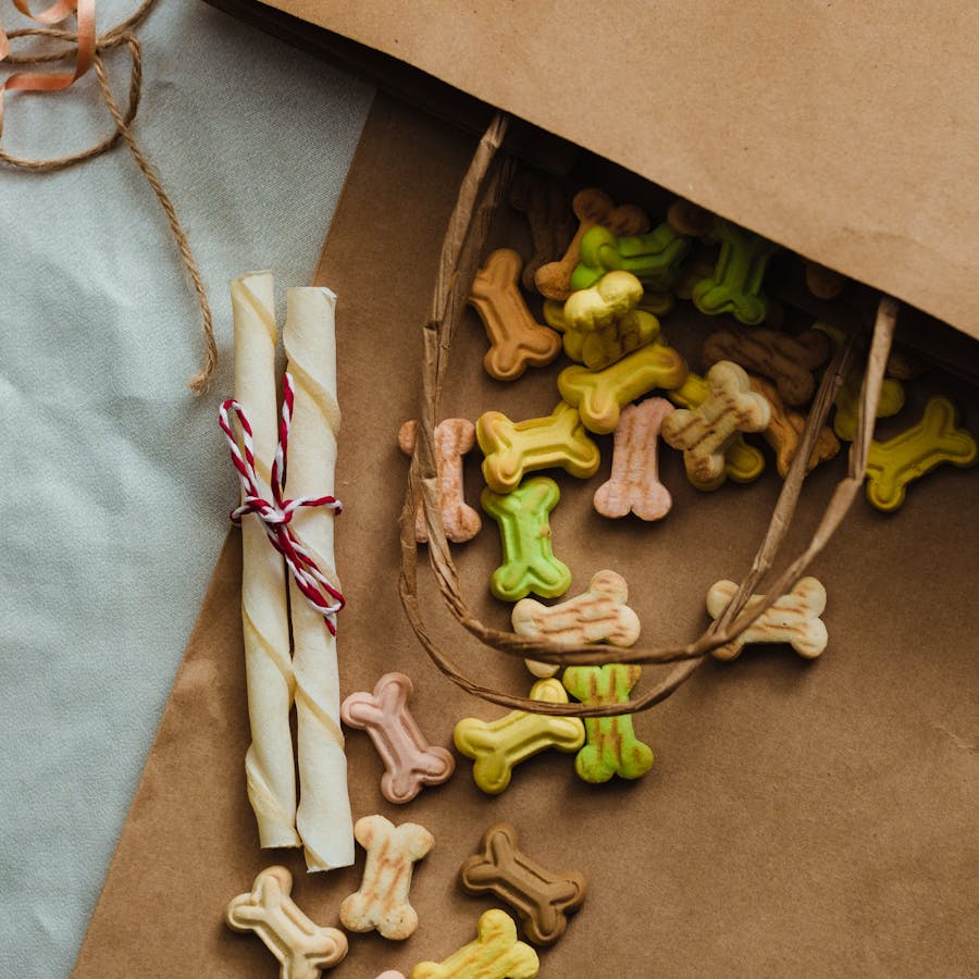 Assorted dog treats laid flat on cardboard